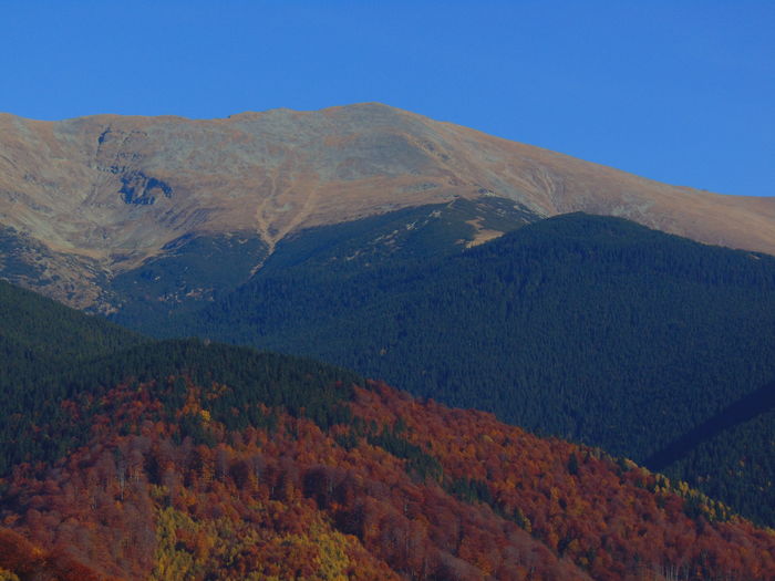 DSC01818 - Toamna 2015