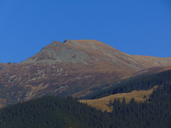 DSC01820 - Toamna 2015