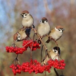 671198_fb0122bb124fdab6e672071839934123_mdsq