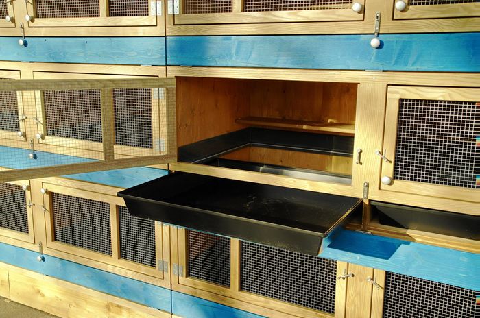 12238528_1058874077513042_2310631123452811226_o