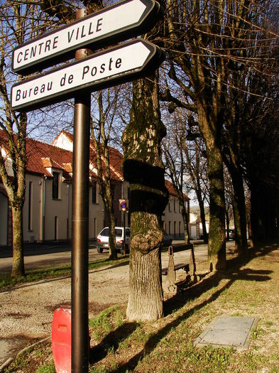DSC01151