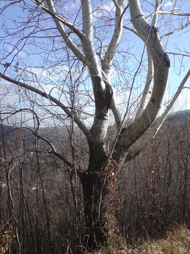 DSC01413 - Am cei mai tari prieteni dar si cam ciudati