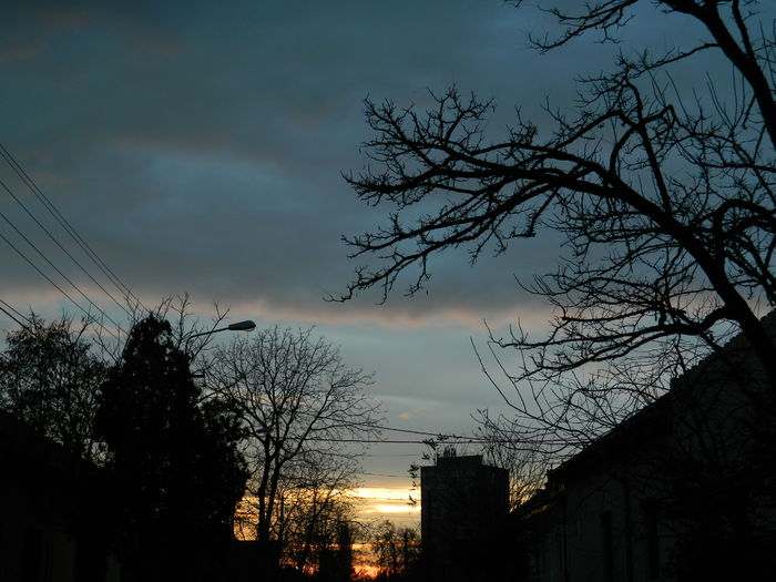 DSCN5131 - 2015_DECEMBRIE