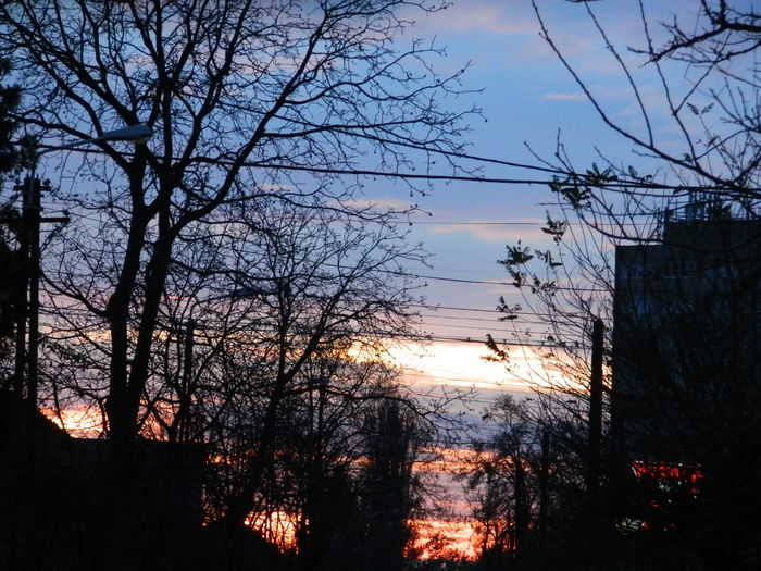 DSCN5133 - 2015_DECEMBRIE