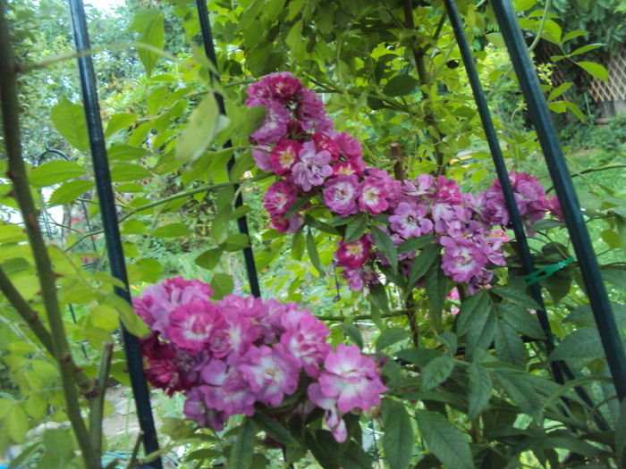DSC01860