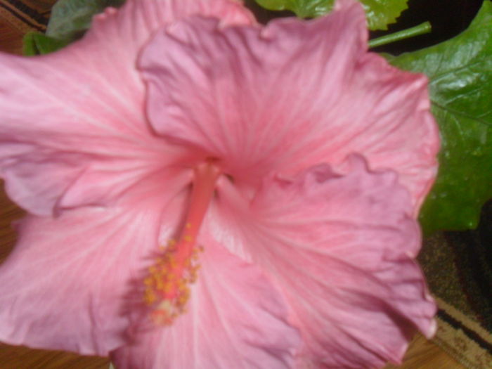 029