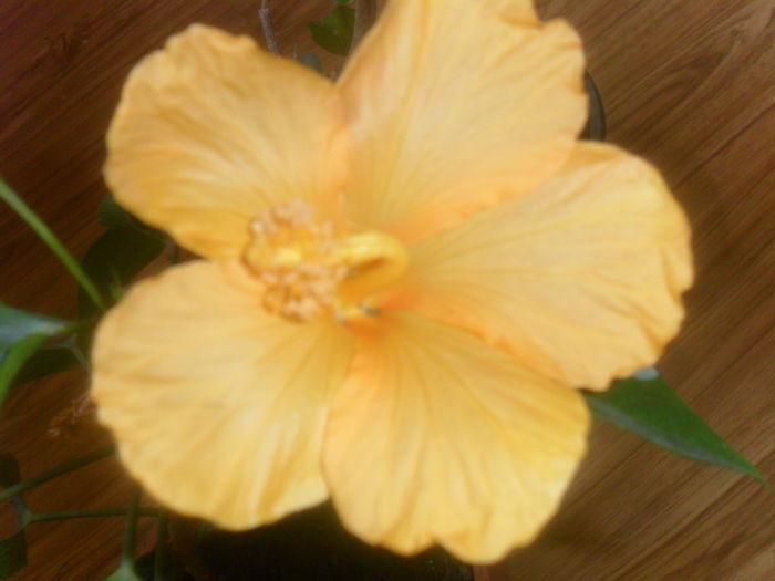 034