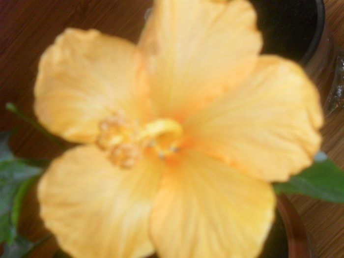 035