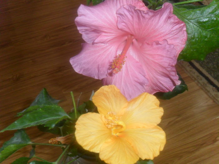 037