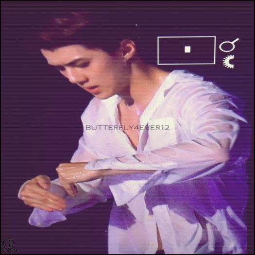 ╳ 100 days l 26.11.2015 ╳ - I just love the sound of your voice