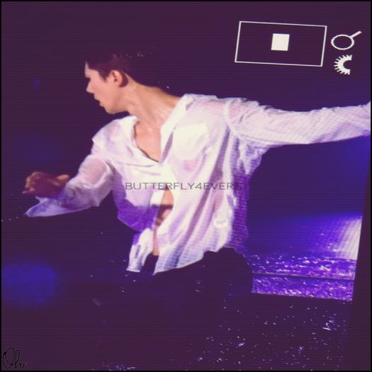 ╳ 101 days l 27.11.2015 ╳