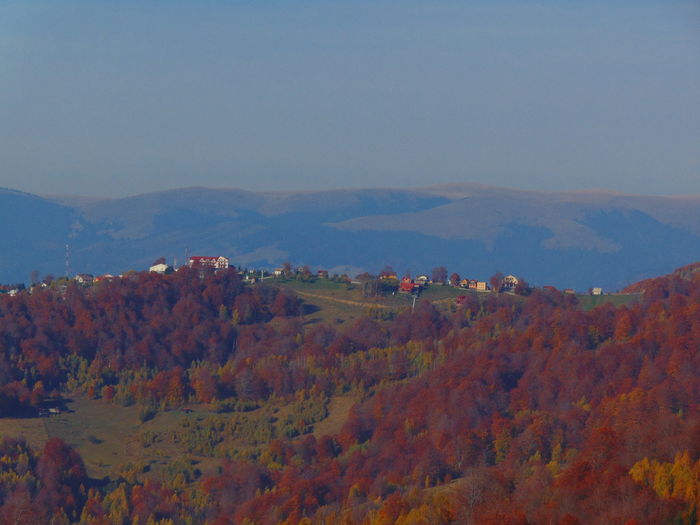 DSC01830 - Toamna 2015