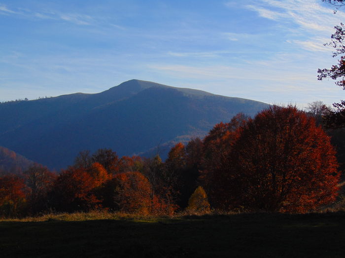 DSC01832 - Toamna 2015