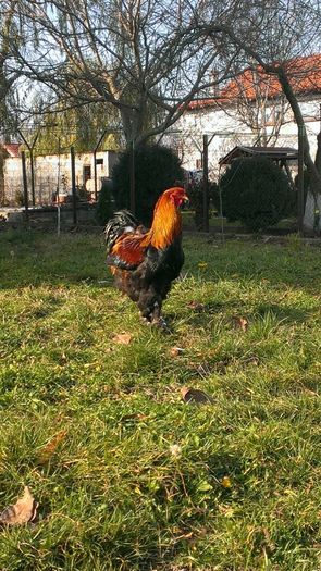 7a9e628e33532f79910de5e9abd0df3f