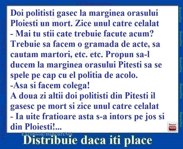 11146199_815866601832543_3952638527479754221_n - Diverse