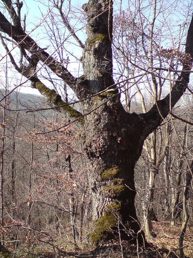 DSC01418 - Am cei mai tari prieteni dar si cam ciudati