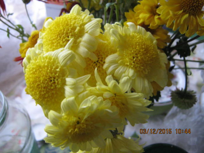 la buchet - Crizanteme si tufanele