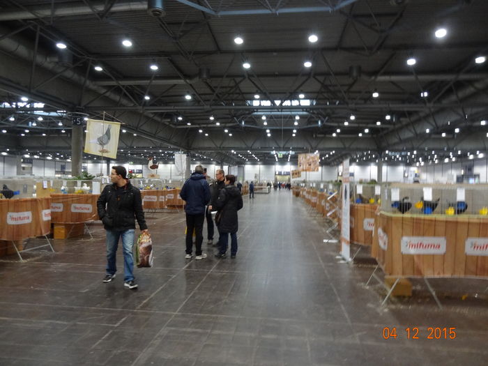DSC08379 - u EXPO NATIONALA A GERMANIEI LEIPTZIG  4-6 DEC 2015