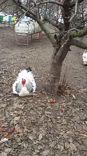 20151206_121331