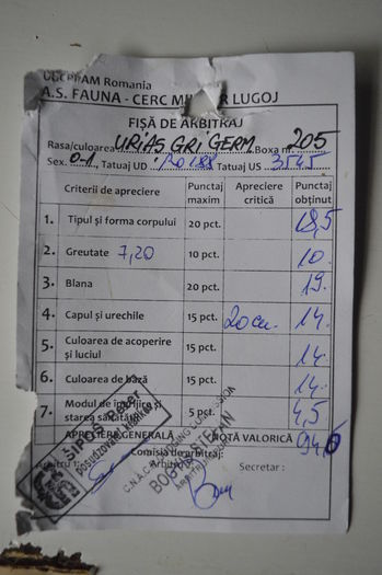 Fisa arbitraj RO188 3545 - 8 Rezultate expo nationala Lugoj 2015