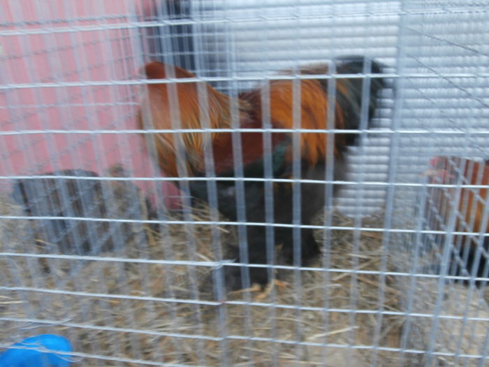 PC050167