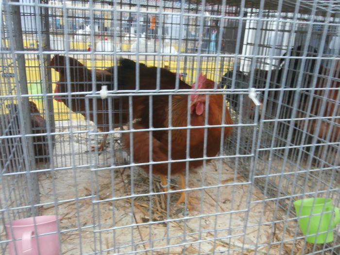 PC050169