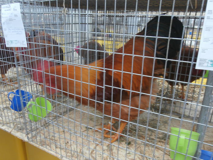 PC050175