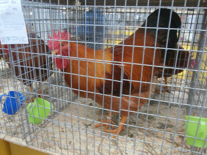 PC050176