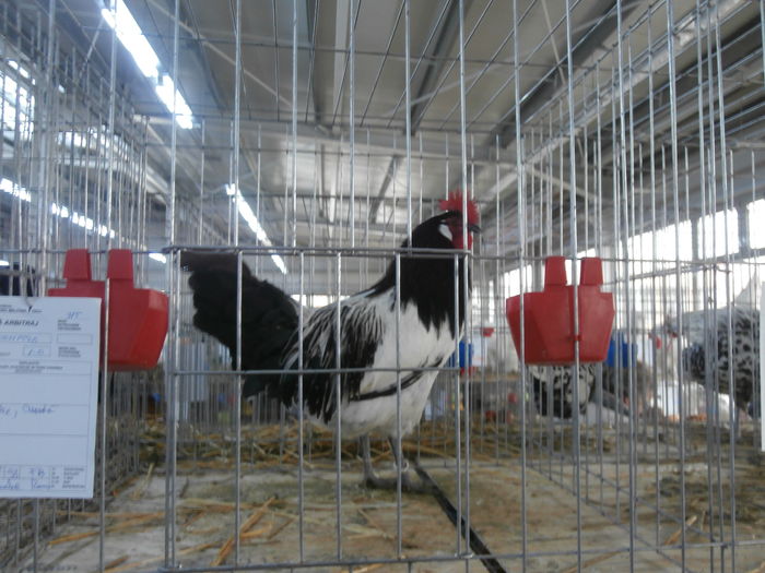 PC050233