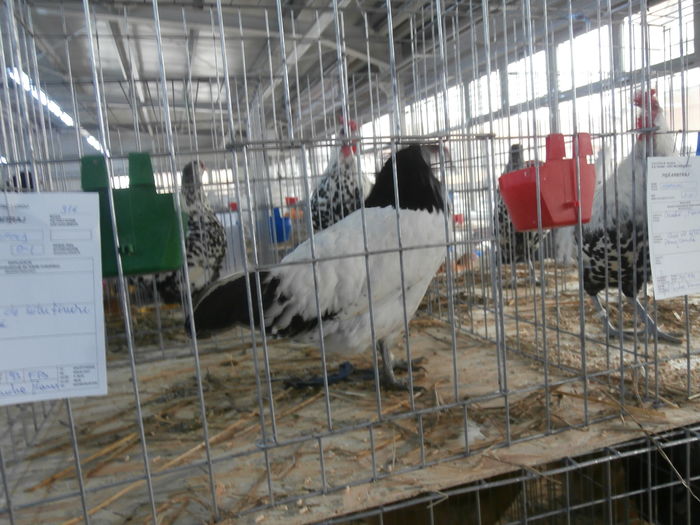 PC050234