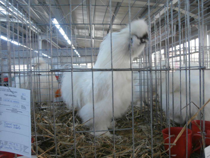 PC050236