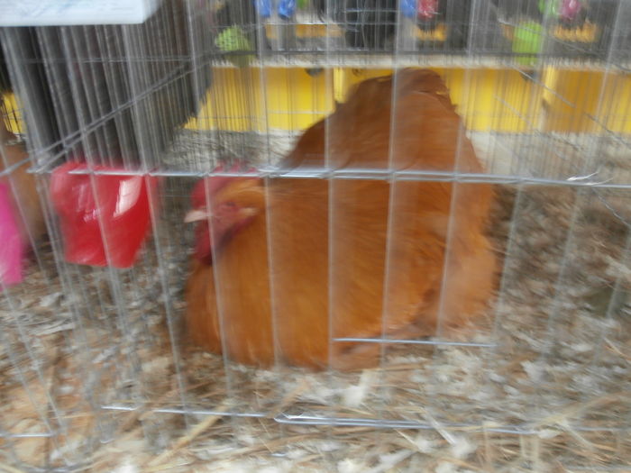 PC050238