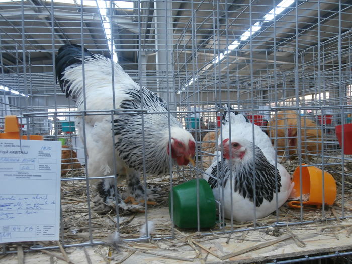 PC050248