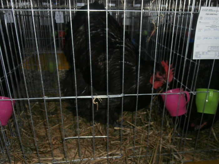 PC050280