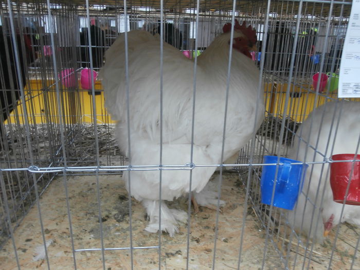 PC050286