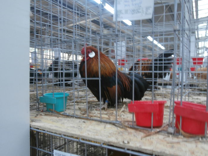 PC050292