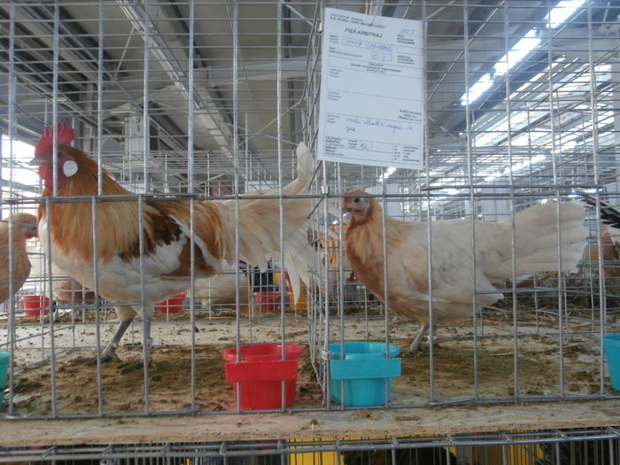 PC050299