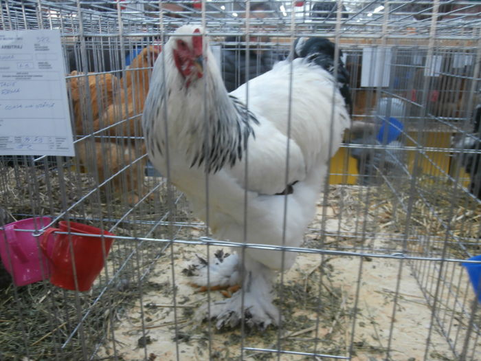 PC050302
