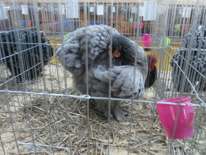 PC050305