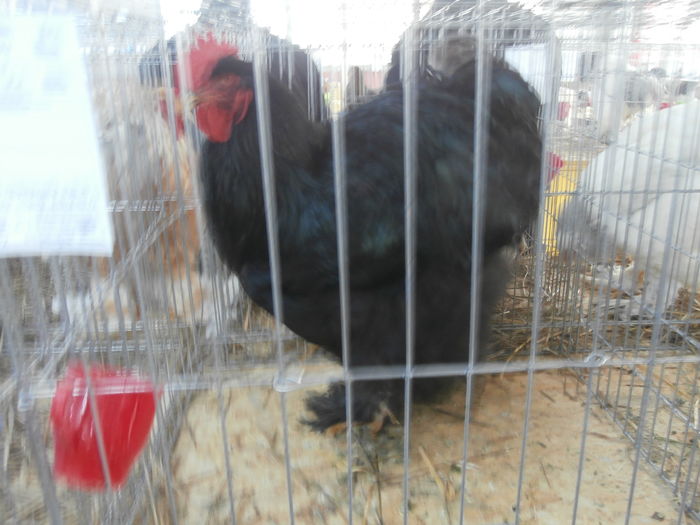 PC050306