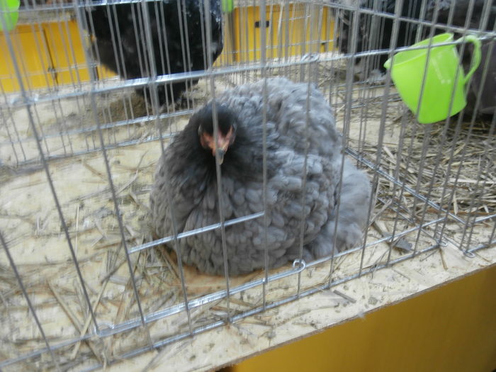 PC050307