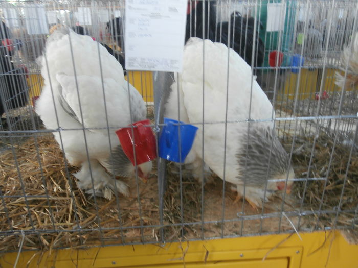 PC050310