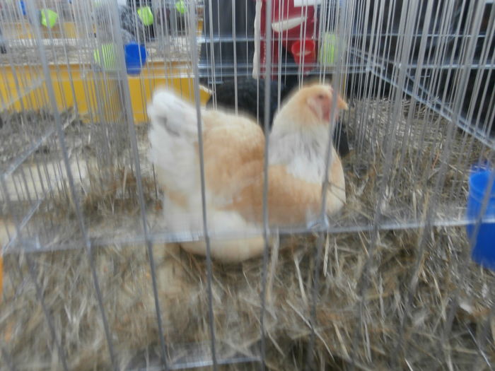 PC050311
