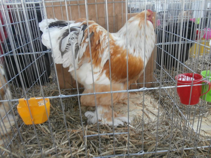 PC050314