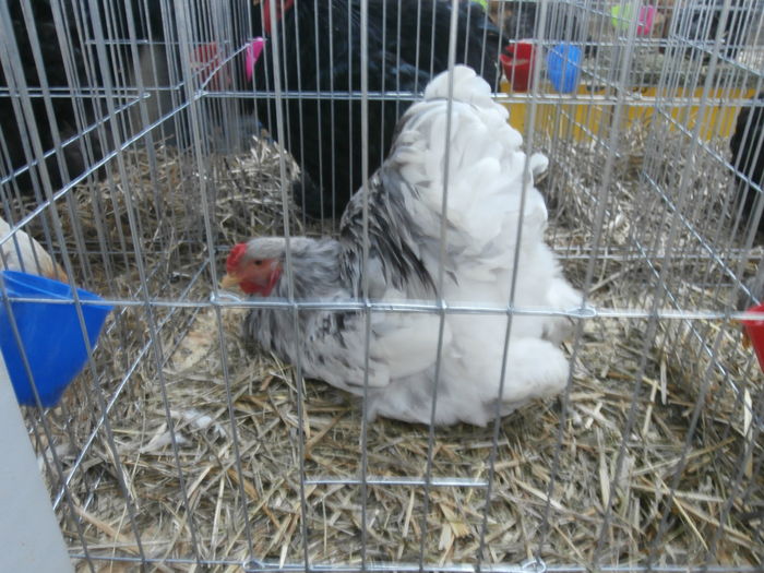 PC050315