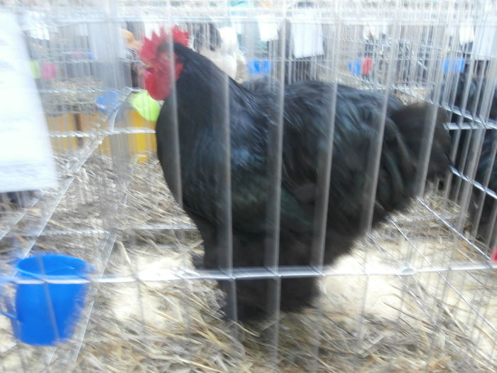 PC050317