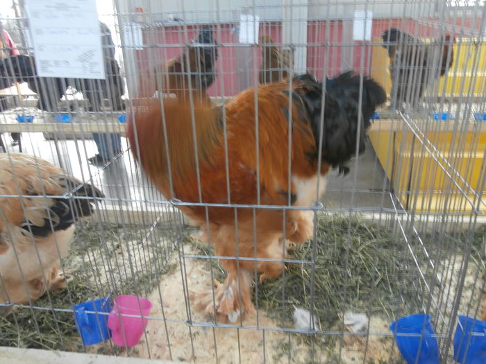 PC050321