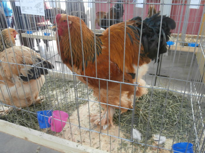 PC050322