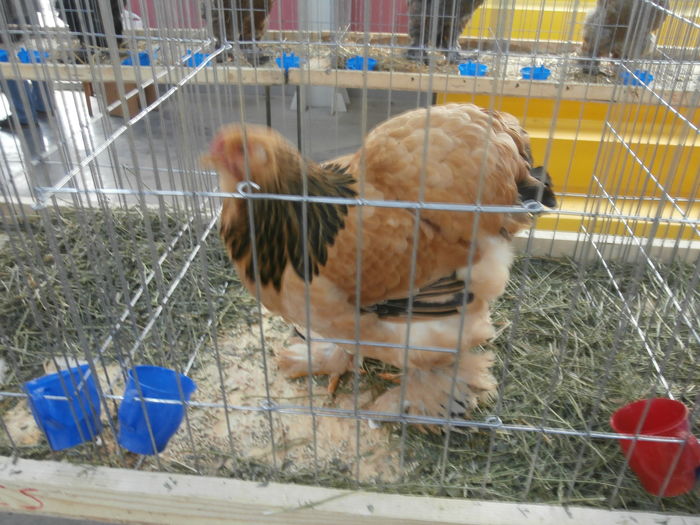PC050324