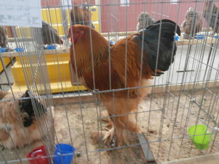 PC050325